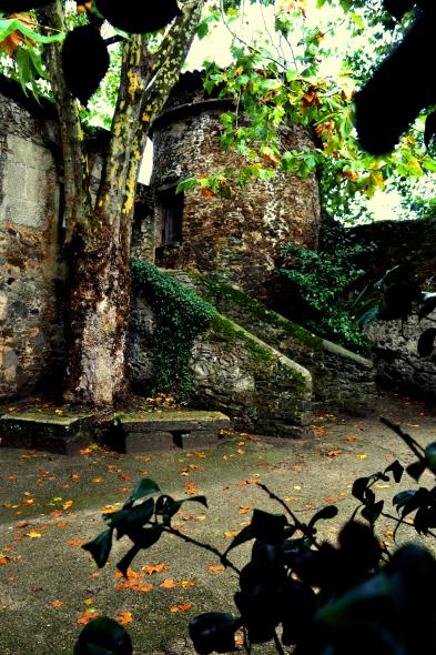 Bosque Encantado, Montrove