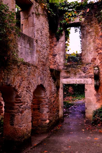 Bosque Encantado, Montrove