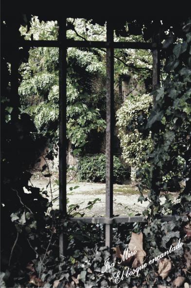 Bosque Encantado, Montrove