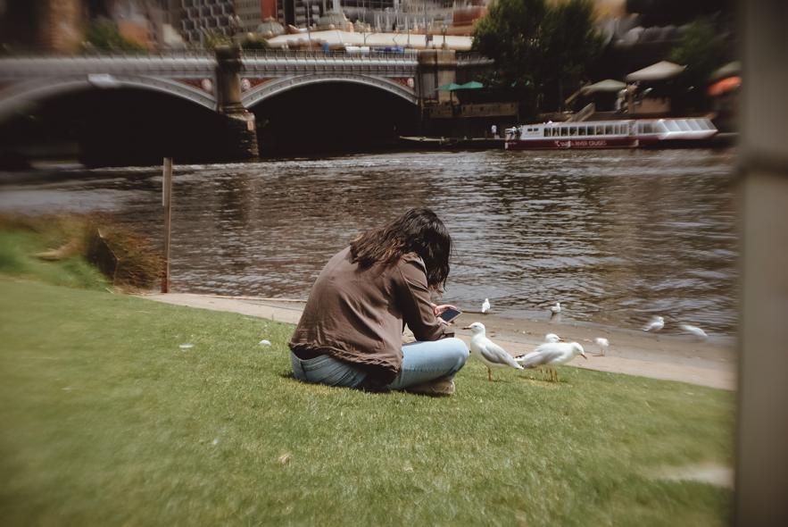 Сады Александры (Alexandra Gardens)