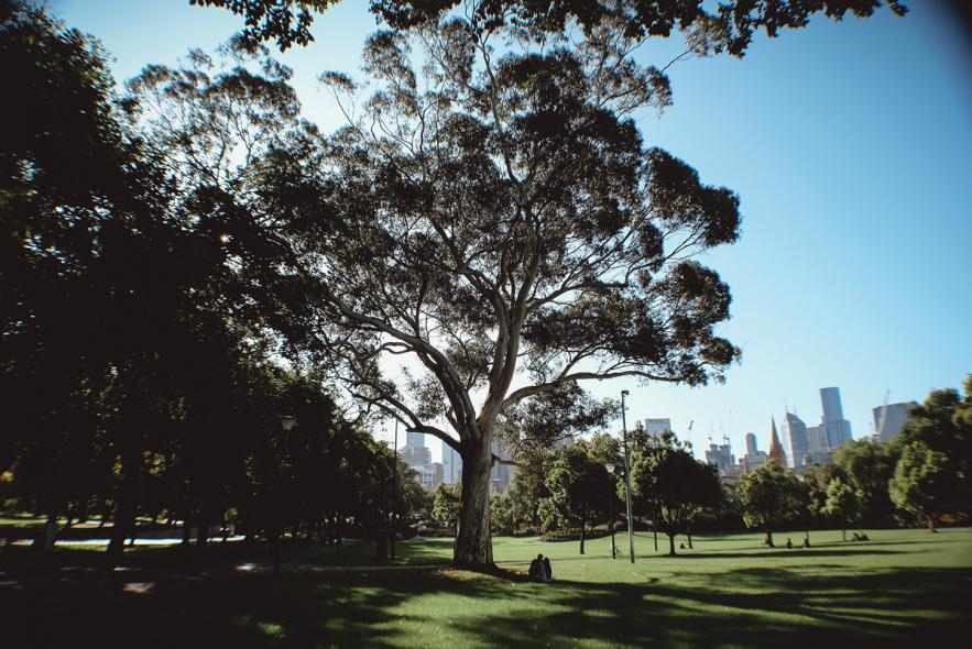 Сады Александры (Alexandra Gardens)