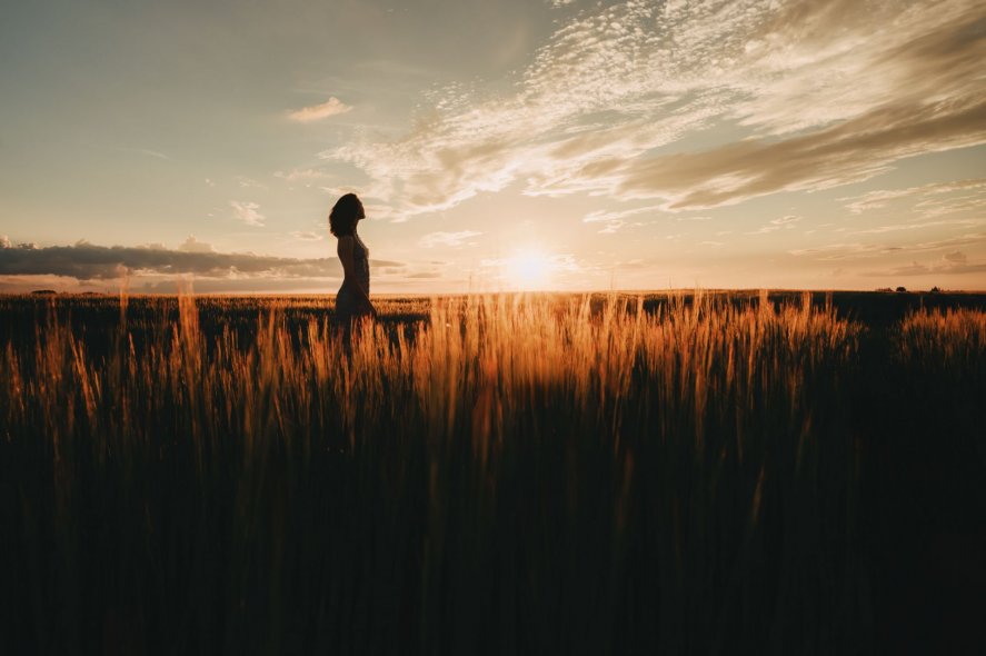 Пшеничные поля в Ярославле