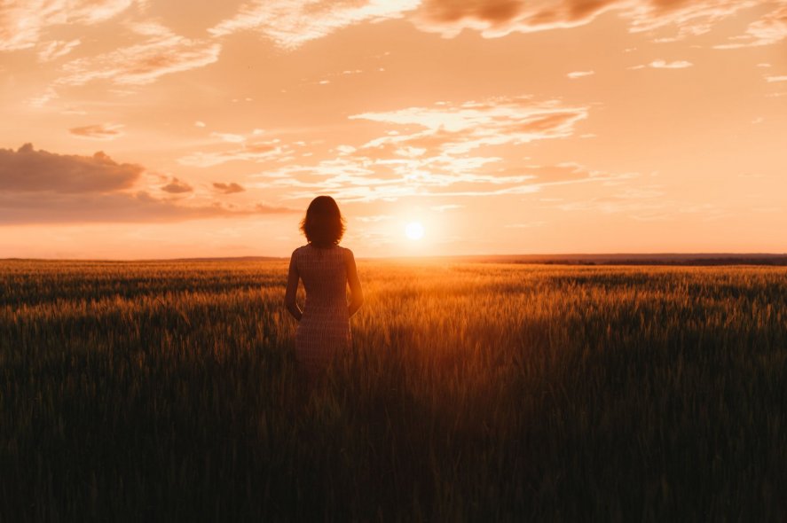 Пшеничные поля в Ярославле