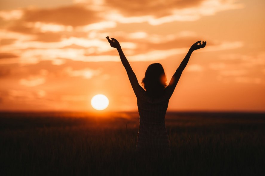 Пшеничные поля в Ярославле