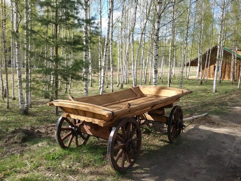 Фотоферма Пешково