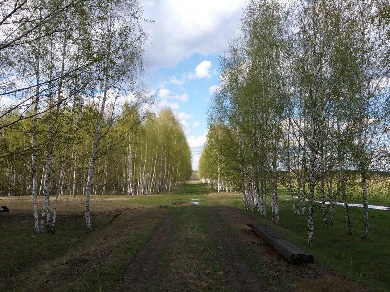 Фотоферма Пешково