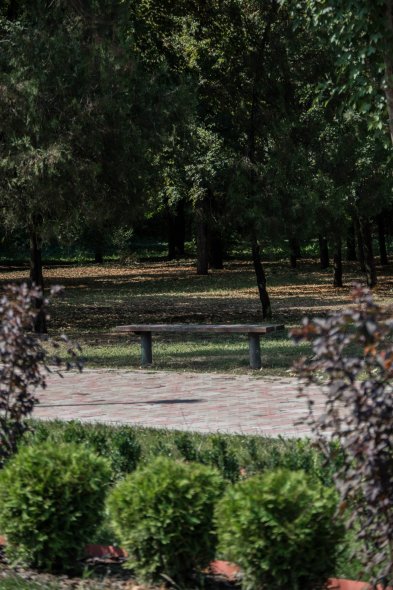 Лестница на 