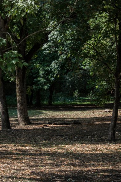 Лестница на 