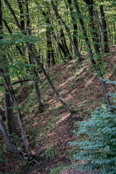 Лестница на 