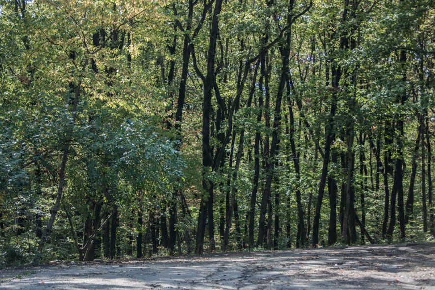 Лестница на 