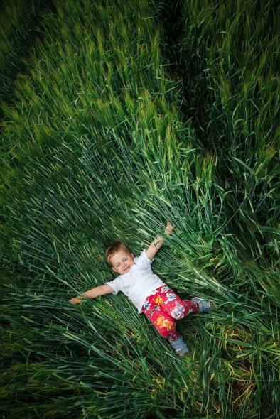 Пшеничные поля в Ярославле