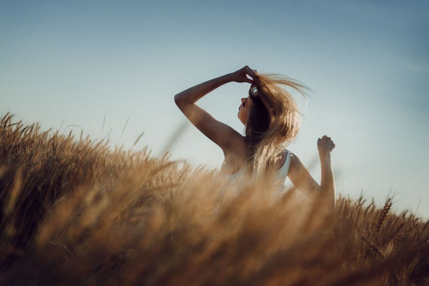 Пшеничные поля в Ярославле