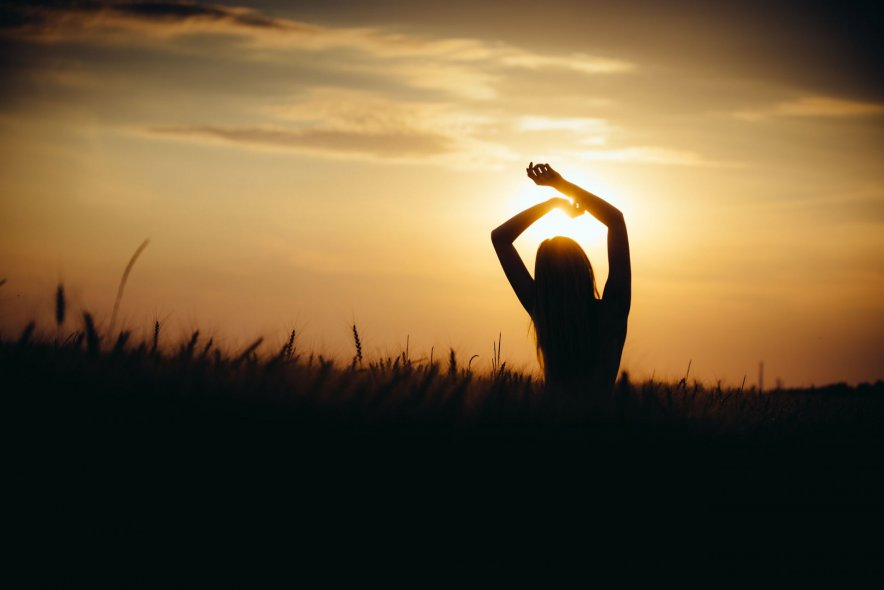 Пшеничные поля в Ярославле