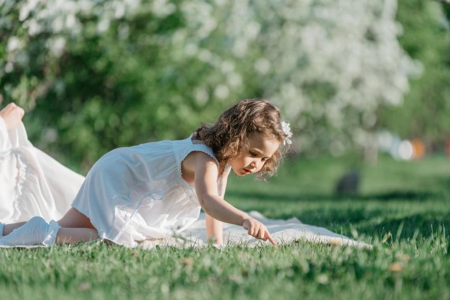 Тополиная аллея