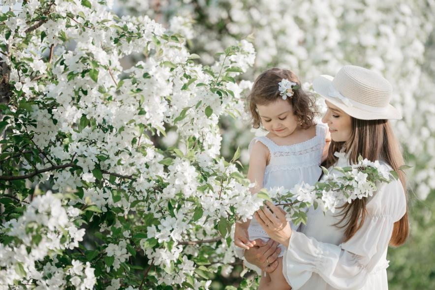 Тополиная аллея