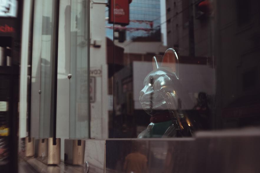  Чайна-таун Мельбурна (Chinatown Melbourne)