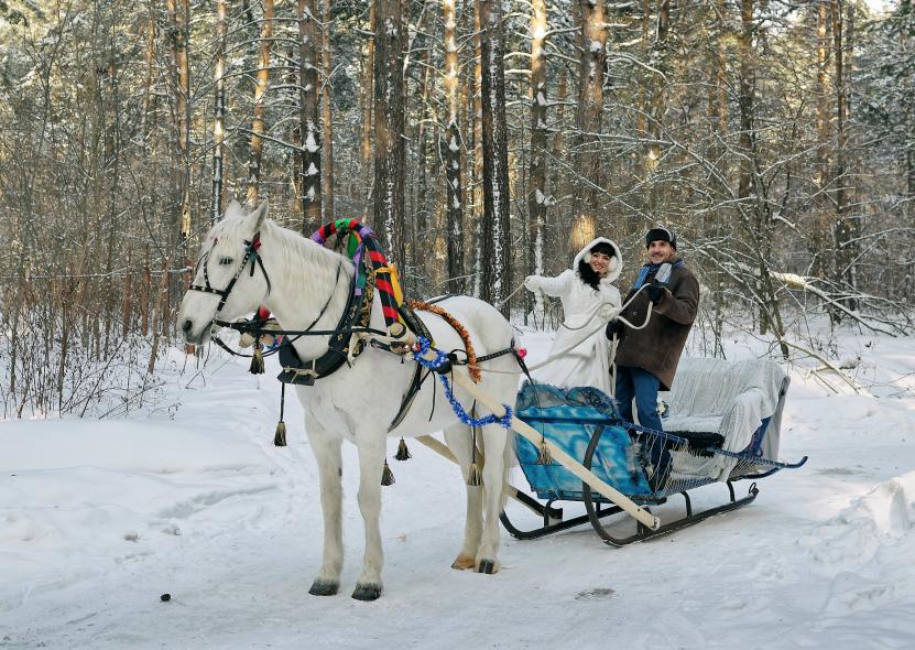 Конный клуб  