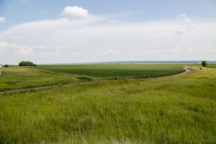 Загородные поля 