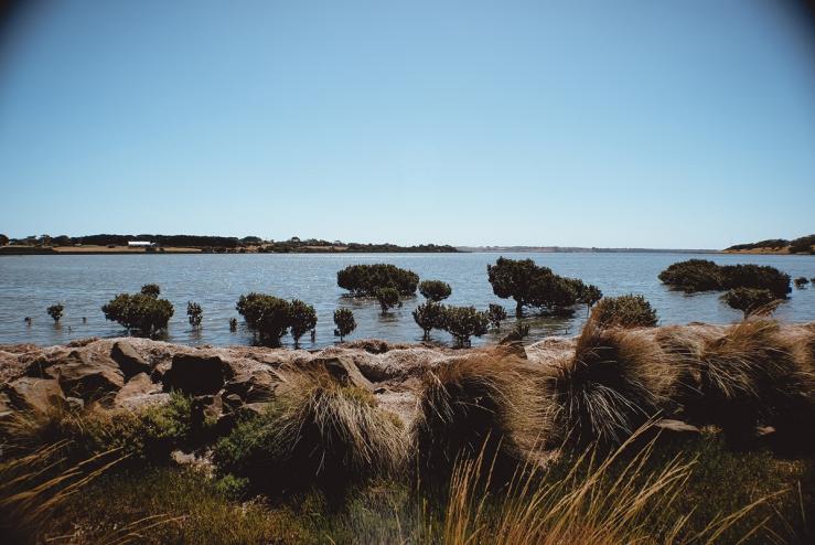 Национальный парк Черчилл Айленд Марин (Churchill Island Marine National Park)