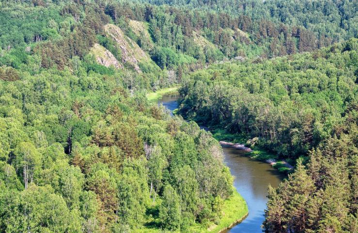 Новососедово