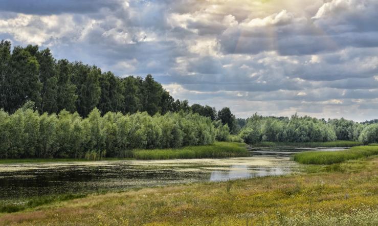 Озеро Москвичево 