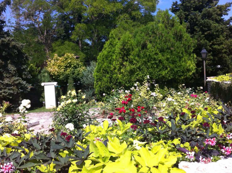 Ботанический сад 