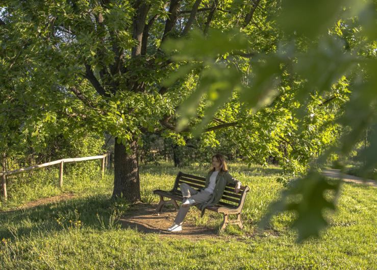 Парк Джованни Паоло II (Park Giovanni Paolo II)