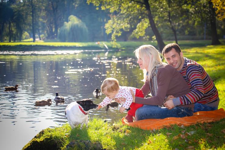 Парк Аркадия