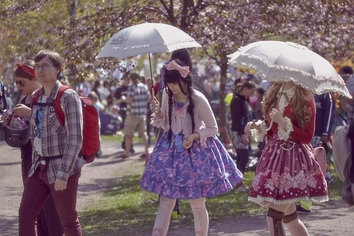 Вишневый парк в японском стиле Roihuvuoren japanilaistyylinen puutarha, 