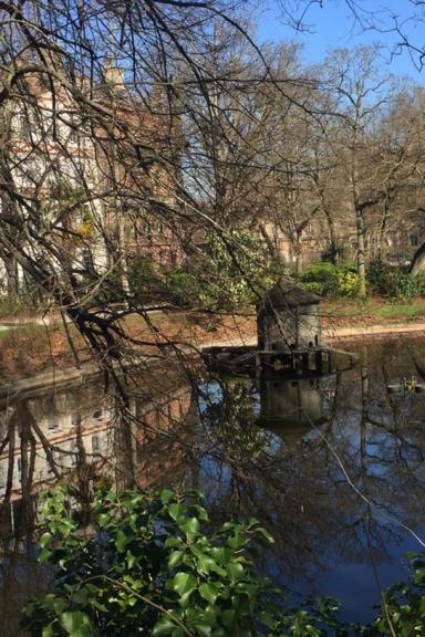 Королевский сад