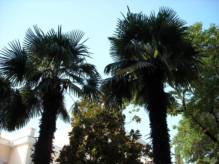 Набережная им. Ленина