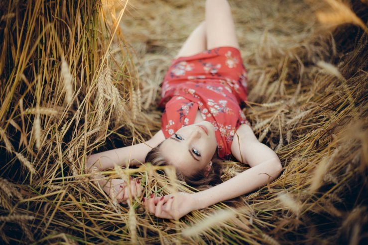 Пшеничные поля в Ярославле