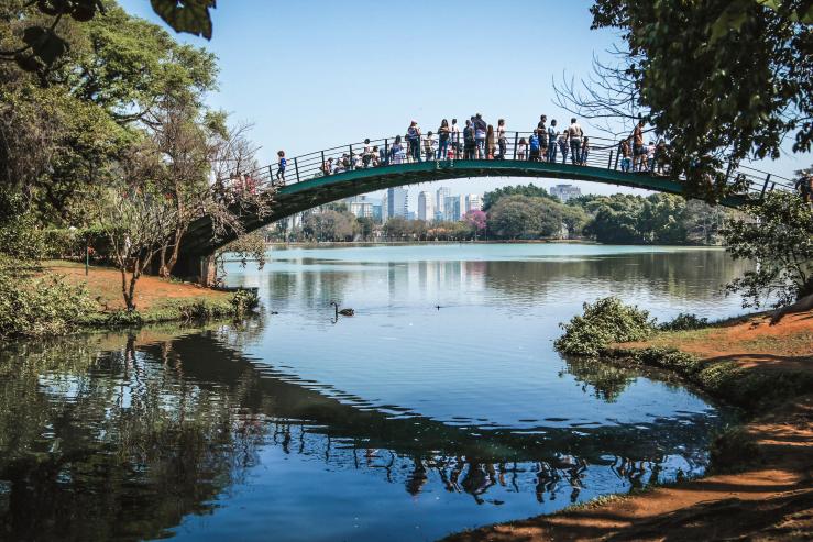 Парк Ибирапуэра, Parque Ibirapuera Conservação