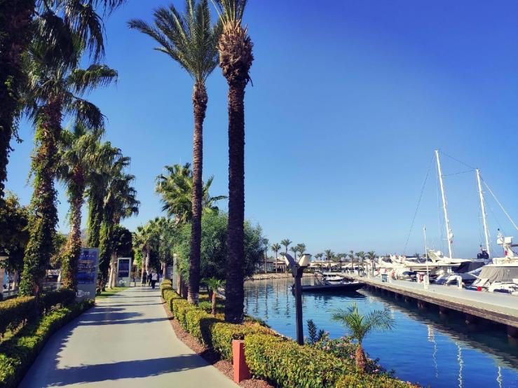 Yalıkavak Palmarina