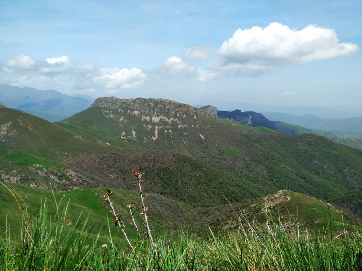 Гора Дизапайт