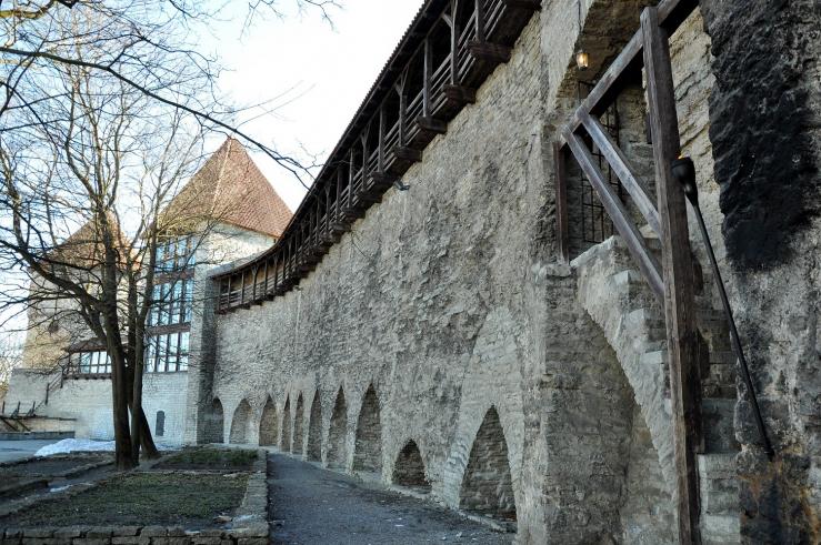 Сад датского короля 