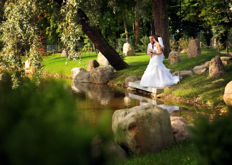 Японский сад в парке Кадриорг