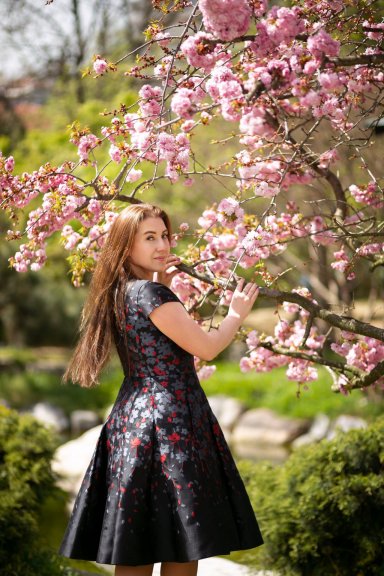 Японский сад