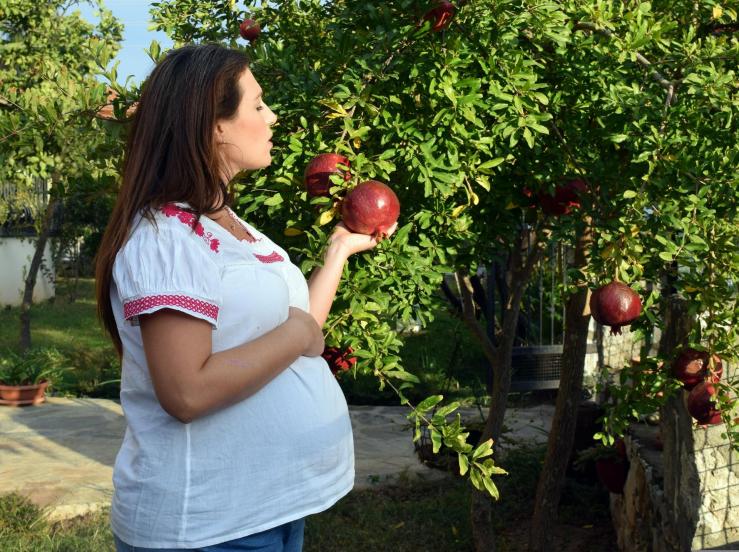 Сады Ичмелера