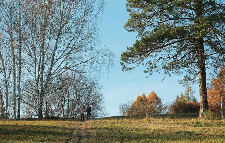 Центральный сибирский ботанический сад