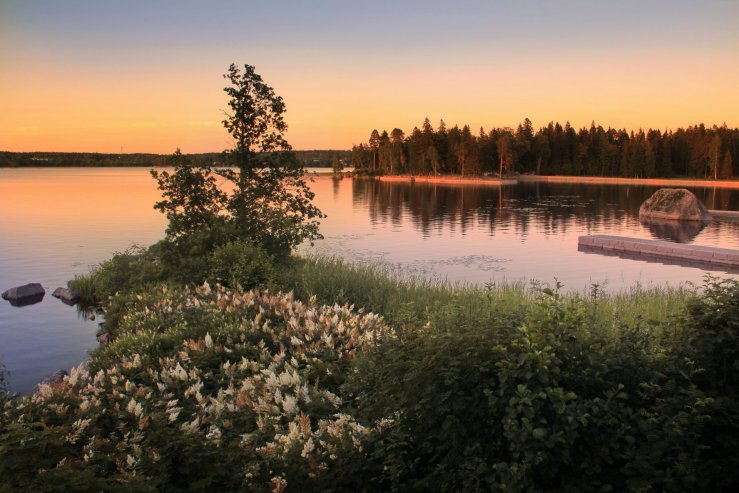 Парк Монрепо