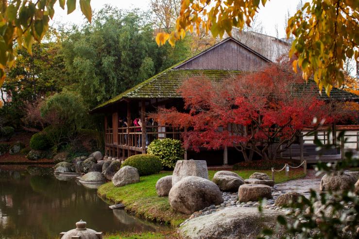 Японский сад