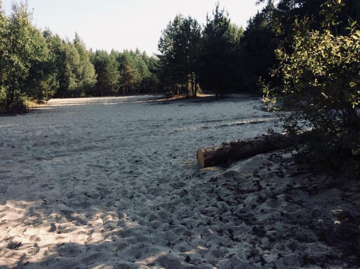 Озеро Святое в Шатуре