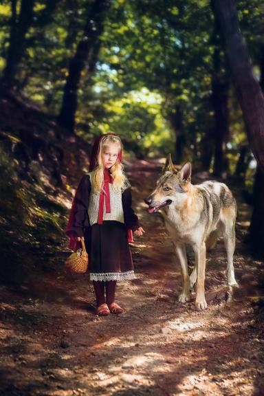 Лес возле Красного моста 