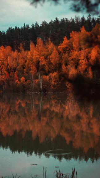 Карьер Синька