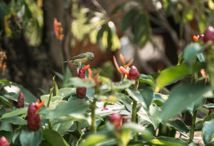 Парк и водопад Суой Трань
