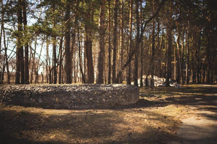 Первомайский парк культуры и отдыха