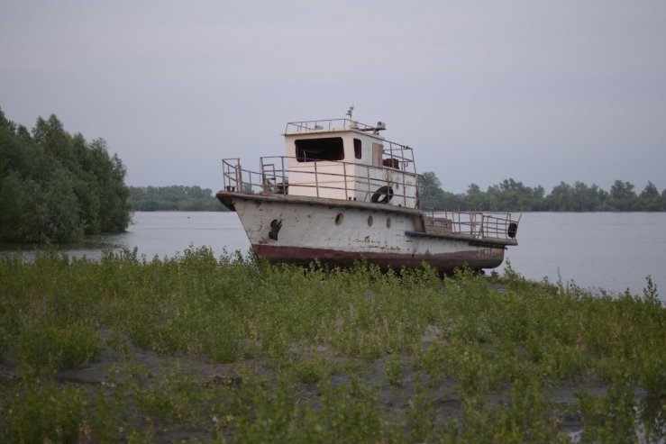 Берег Оби 55