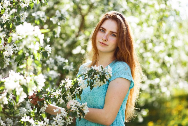 Яблоневая аллея 