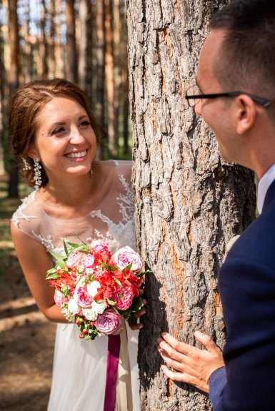 Сосновый лес 